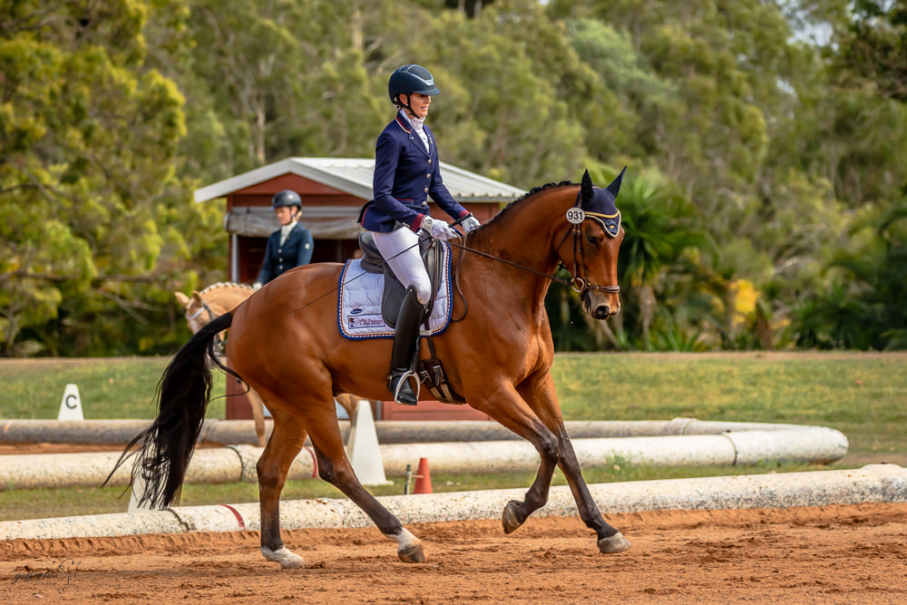 The Saddlefitter Brisbane CDN & Queensland State Dressage Championships